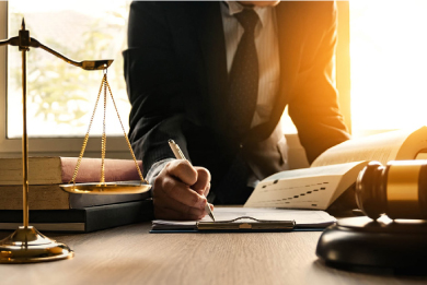 Specialized CPS and Legal Consultancy Services